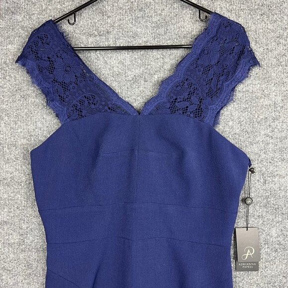 NEW ADRIANA PAPELL Lace Illusion Sleeveless Deep V Neck Dress SZ 10 - Picture 3 of 9